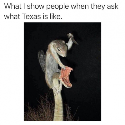 1737253471634.png 1737253471634.png
