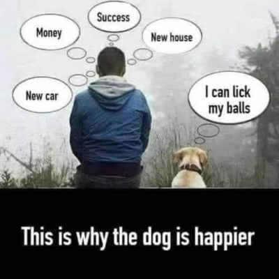 1737655708888.png 1737655708888.png