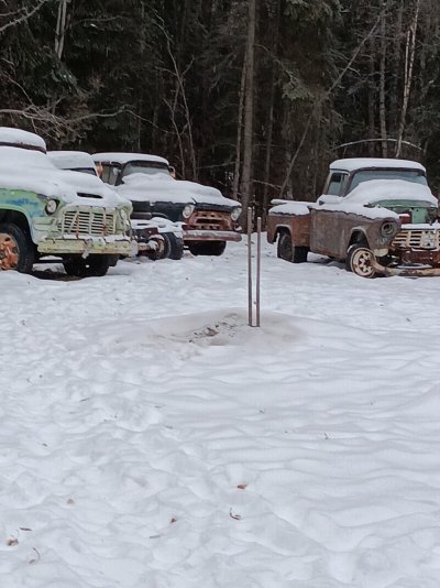 20231107_102528.jpg 20231107_102528.jpg