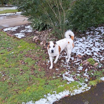 20250214_133835.jpg 20250214_133835.jpg
