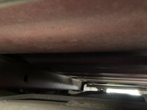 IMG_20250428_115137.jpg