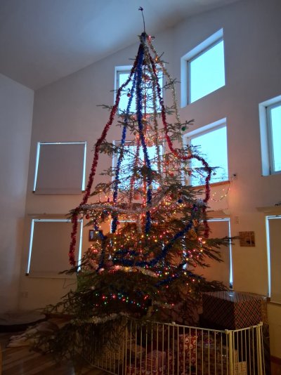 20251224_115408.jpg