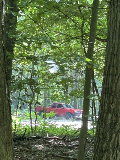 IMG_7165.jpeg