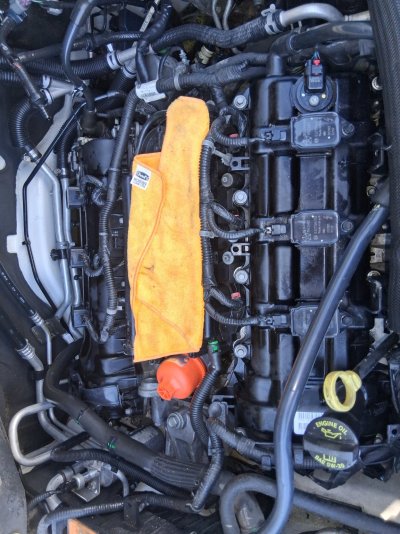 20260704_113054.jpg