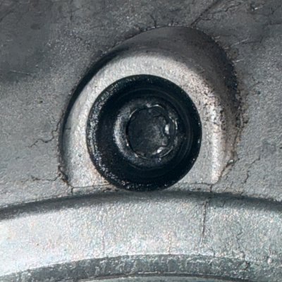 IMG_4923.jpeg