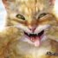 catfood101